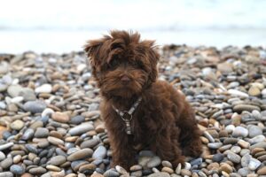 Geb736e76f5a3a11514189a18e1a612b5f860c4ea4389dddde2b52a8e0d937321e8b59bfa3d8e09fb1fde86e4006523eaa94fc26be1e10eb73a07deef0fca5e2a 640