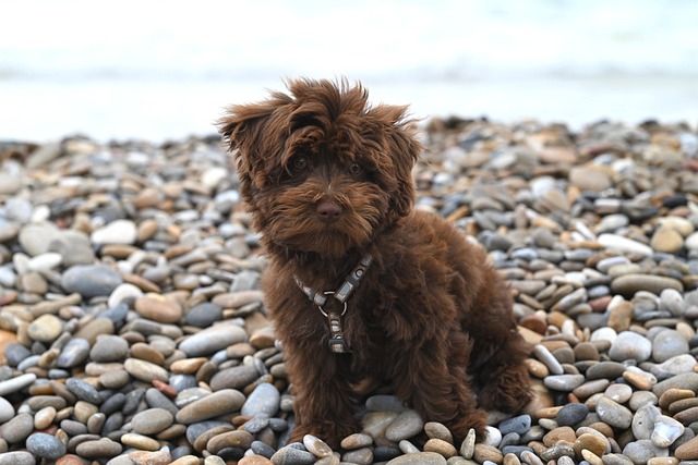 Geb736e76f5a3a11514189a18e1a612b5f860c4ea4389dddde2b52a8e0d937321e8b59bfa3d8e09fb1fde86e4006523eaa94fc26be1e10eb73a07deef0fca5e2a 640